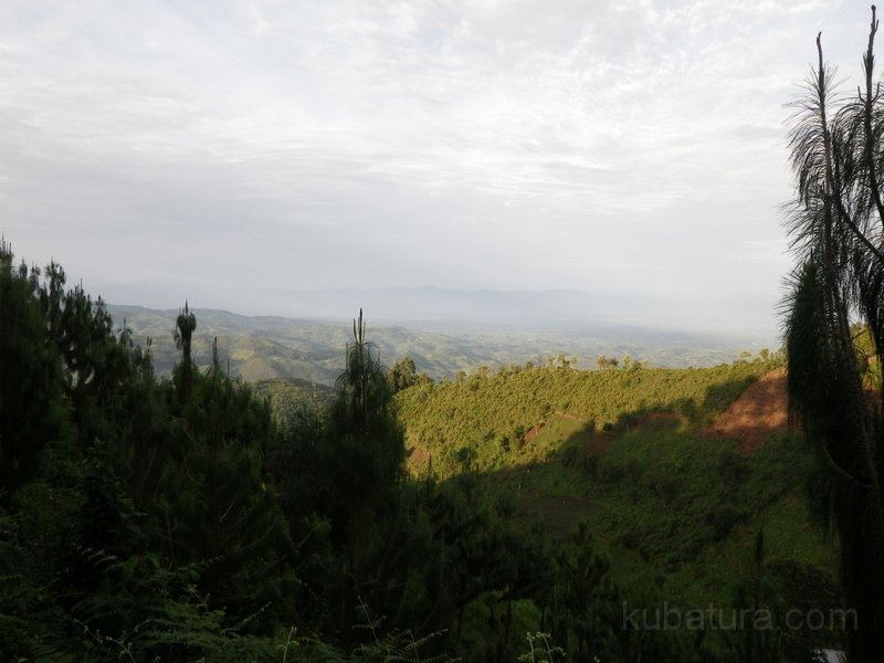 448 446 IMGP2012.jpg